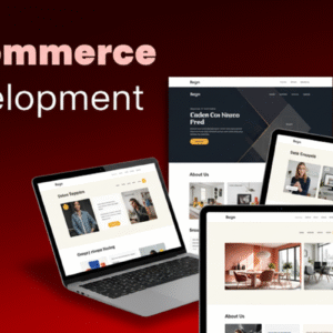 E-commerce Development